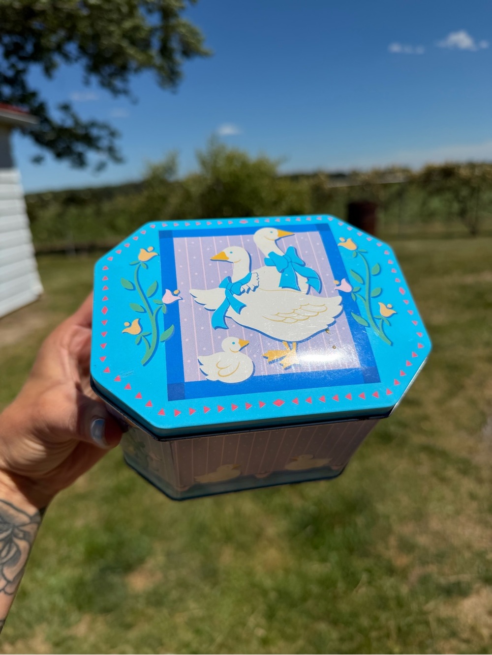 Blue Goose Decorative Tin